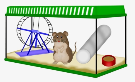 Src Images/animaljpg227 - Rat, HD Png Download, Transparent PNG